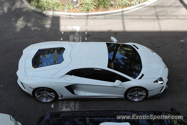 Lamborghini Aventador spotted in Bal Harbour, Florida