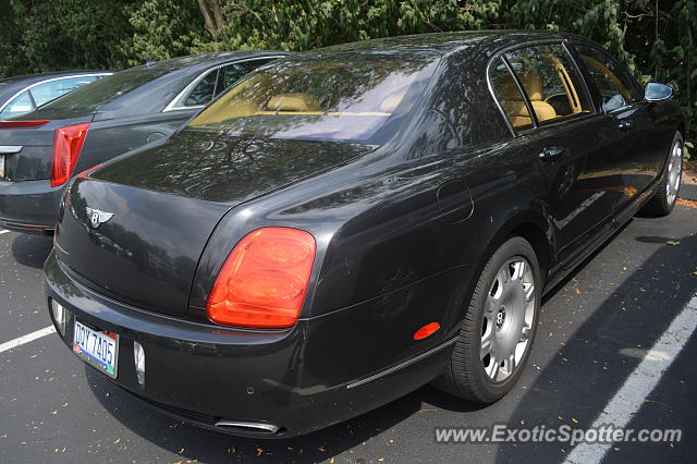 Bentley Continental spotted in Cincinnati, Ohio