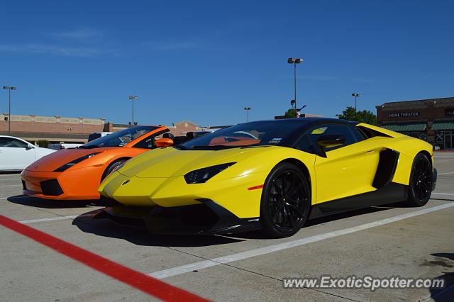 Lamborghini Aventador spotted in Dallas, Texas