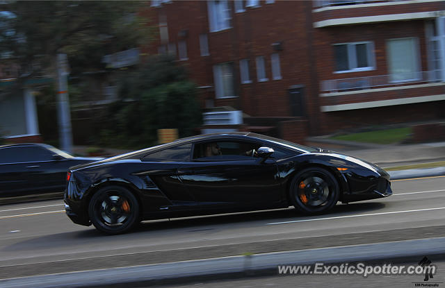 Lamborghini Gallardo spotted in Sydney, Australia