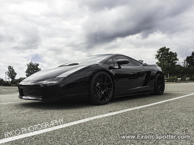 Lamborghini Gallardo spotted in St. Louis, Missouri