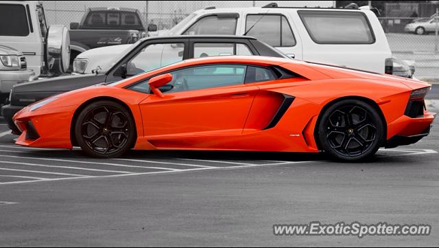 Lamborghini Aventador spotted in Dallas, Texas