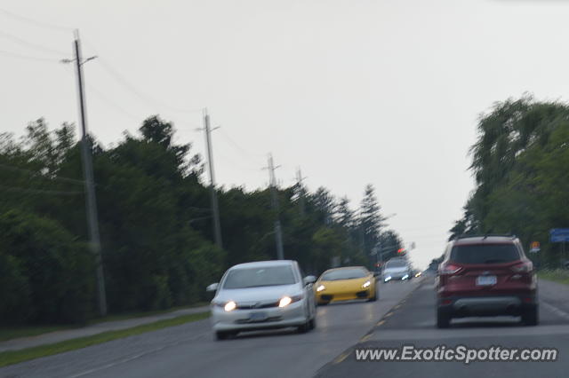 Lamborghini Gallardo spotted in Niagara, Canada