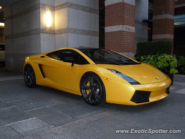 Lamborghini Gallardo spotted in Toronto, Canada