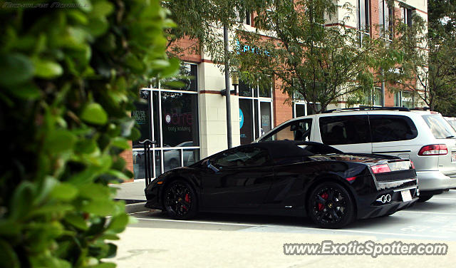 Lamborghini Gallardo spotted in Charlotte, North Carolina