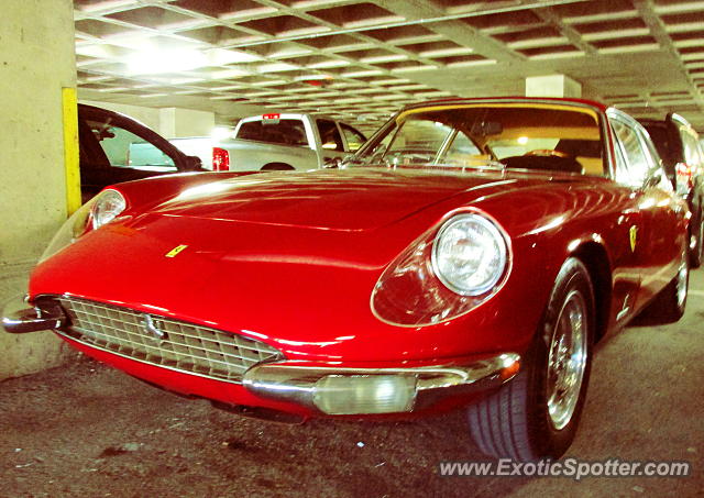 Ferrari 365 GT spotted in Greenwich, Connecticut