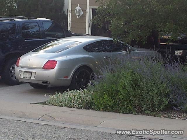 Bentley Continental spotted in Castle Rock, Colorado