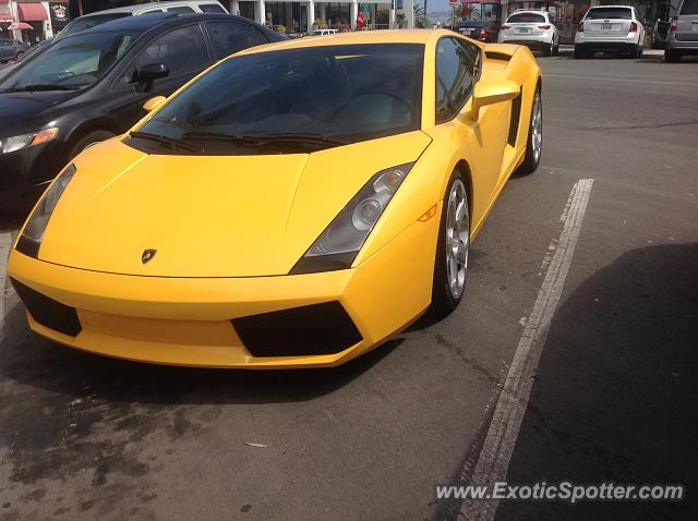 Lamborghini Gallardo spotted in La Jolla, California