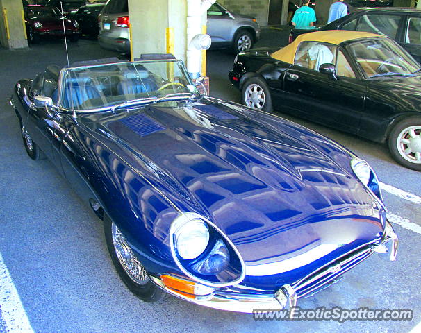 Jaguar E-Type spotted in Greenwich, Connecticut