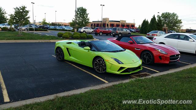 Lamborghini Gallardo spotted in Cincinnati, Ohio