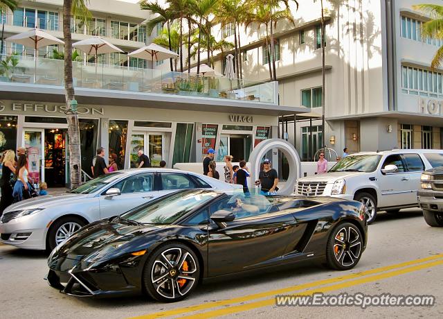 Lamborghini Gallardo spotted in Miami, Florida