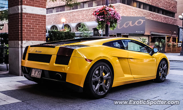 Lamborghini Gallardo spotted in Toronto, Canada