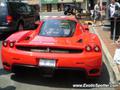 Ferrari Enzo