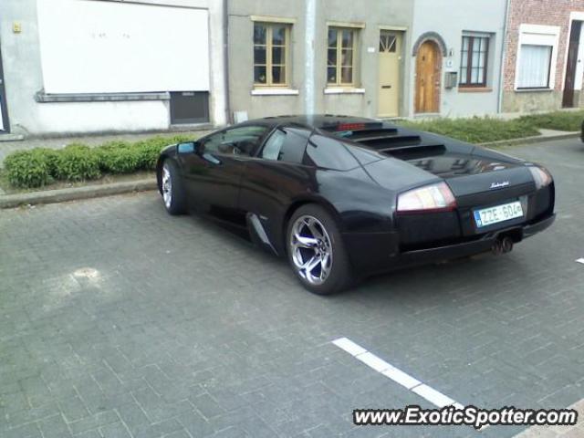 Lamborghini Murcielago spotted in Sint-Gillis-Waas, Belgium