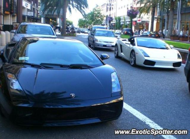 Lamborghini Gallardo spotted in San jose, California