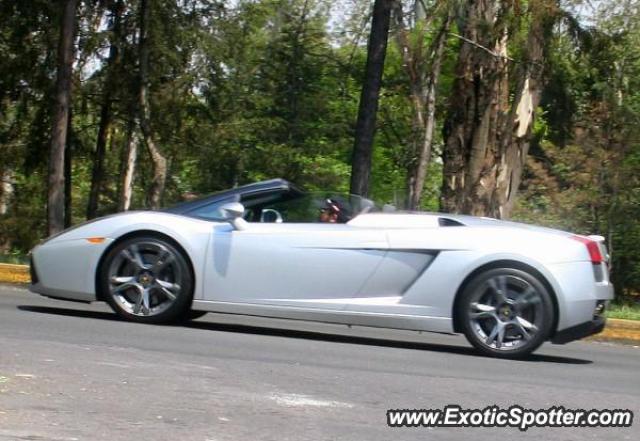 Lamborghini Gallardo spotted in Mexico City, Mexico