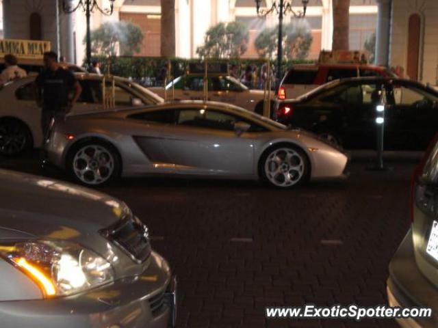 Lamborghini Gallardo spotted in Las Vegas, Nevada