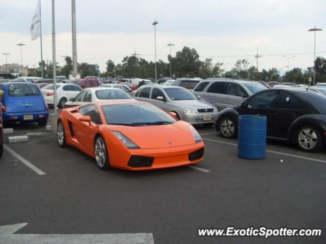 Lamborghini Gallardo spotted in Mexico City, Mexico