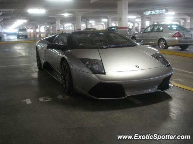 Lamborghini Murcielago spotted in Sandton, South Africa