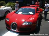 Bugatti Veyron