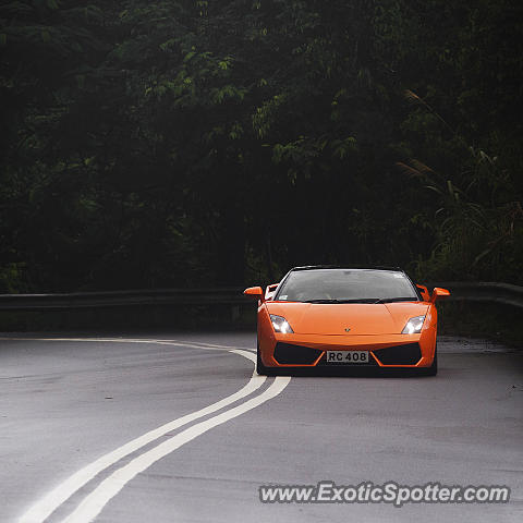 Lamborghini Gallardo spotted in Hong Kong, China