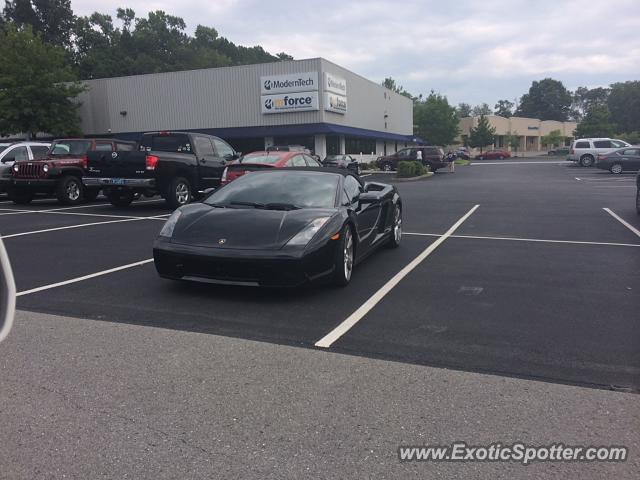 Lamborghini Gallardo spotted in Knoxville, Tennessee