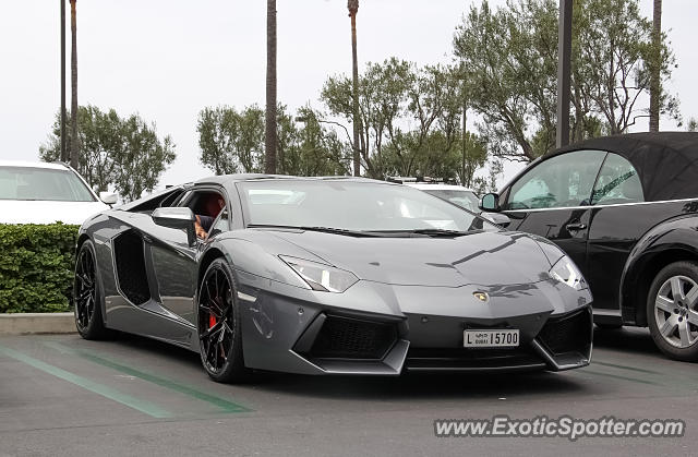 Lamborghini Aventador spotted in Newport Beach, California