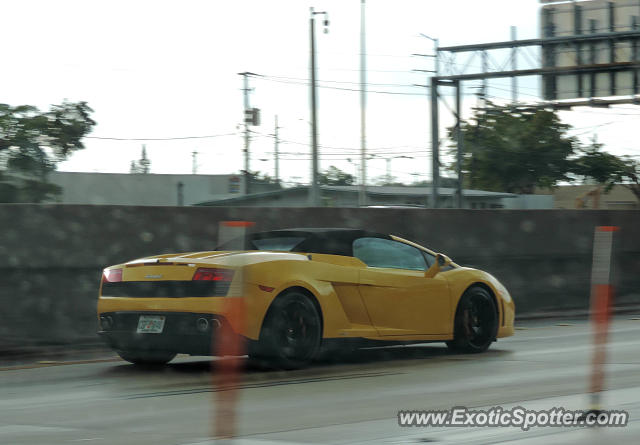 Lamborghini Gallardo spotted in Miami, Florida