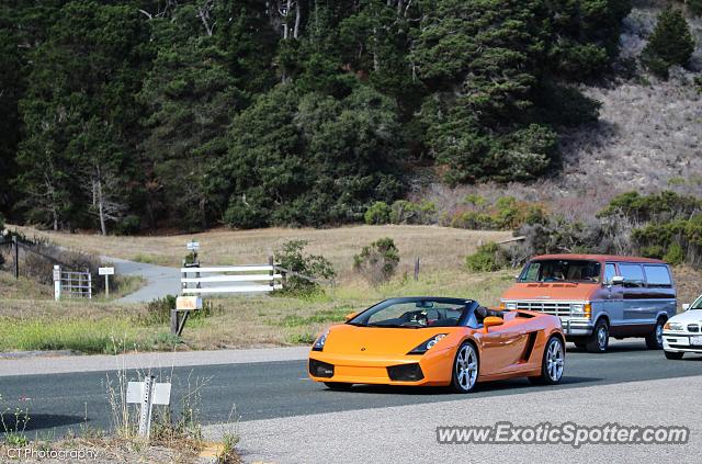 Lamborghini Gallardo spotted in Carmel Valley, California