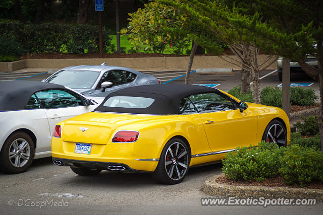 Bentley Continental spotted in Carmel, California