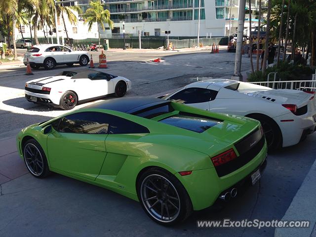 Lamborghini Gallardo spotted in Miami, Florida