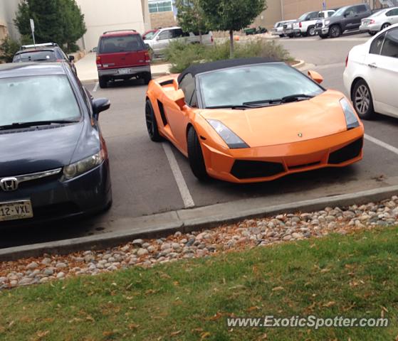 Lamborghini Gallardo spotted in Fort collins, Colorado