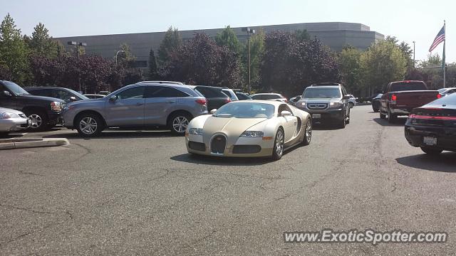 Bugatti Veyron spotted in Bellevue, Washington