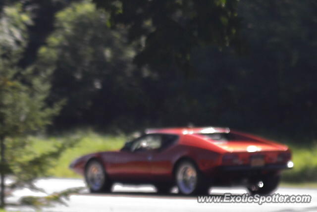 DeTomaso Pantera2 spotted in Marion, New York