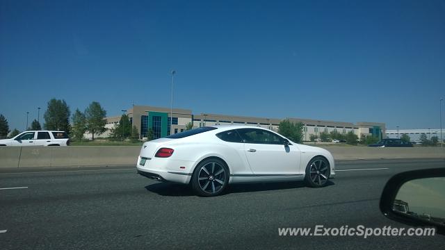 Bentley Continental spotted in Denver, Colorado