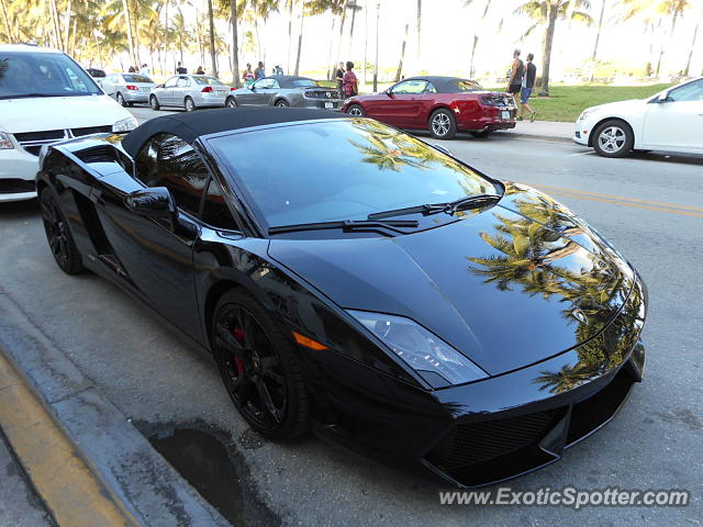 Lamborghini Gallardo spotted in Miami, Florida