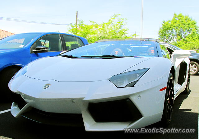 Lamborghini Aventador spotted in Greenwich, Connecticut