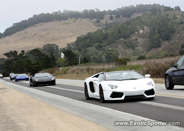 Lamborghini Aventador spotted in Monterey, California