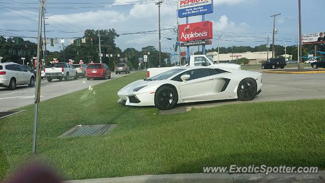 Lamborghini Aventador spotted in Baton rouge, Louisiana