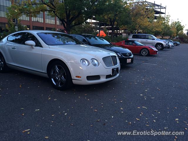 Bentley Continental spotted in Cherry Creek, Colorado