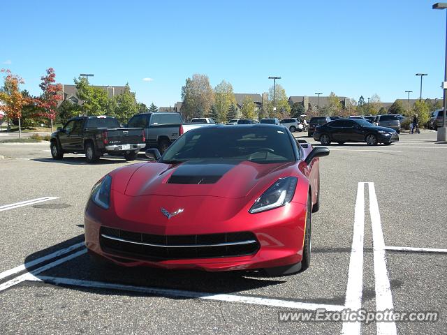 Chevrolet Corvette Z06 spotted in Castle Pines, Colorado