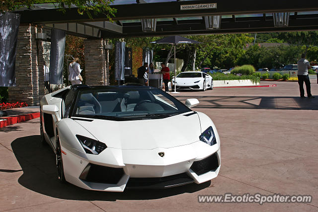 Lamborghini Aventador spotted in Carmel, California