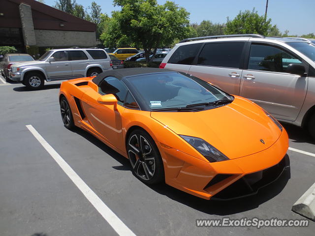 Lamborghini Gallardo spotted in City of Industry, California