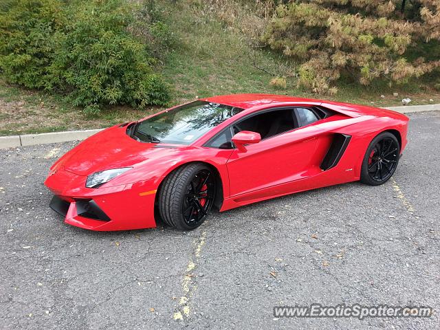 Lamborghini Aventador spotted in Paramus, New Jersey