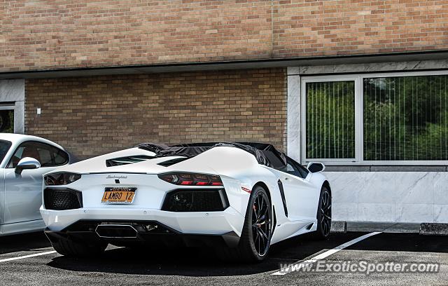 Lamborghini Aventador spotted in Greenwich, Connecticut