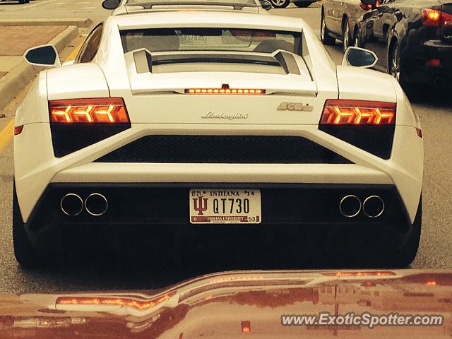 Lamborghini Gallardo spotted in Bloomington, Indiana