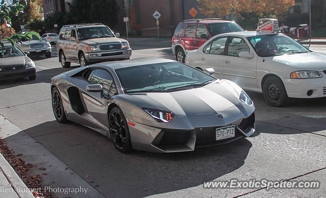 Lamborghini Aventador spotted in Denver, Colorado