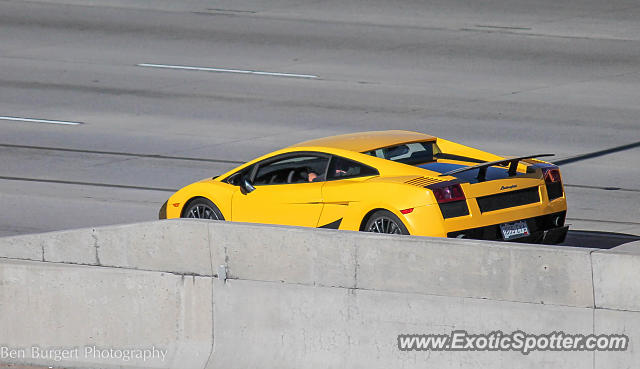 Lamborghini Gallardo spotted in Denver, Colorado