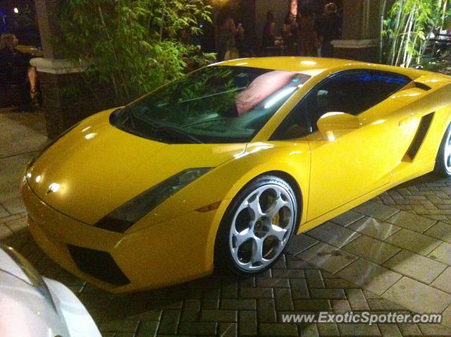 Lamborghini Gallardo spotted in Fort lauderdale, Florida