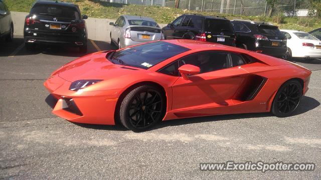 Lamborghini Aventador spotted in Merrick, New York